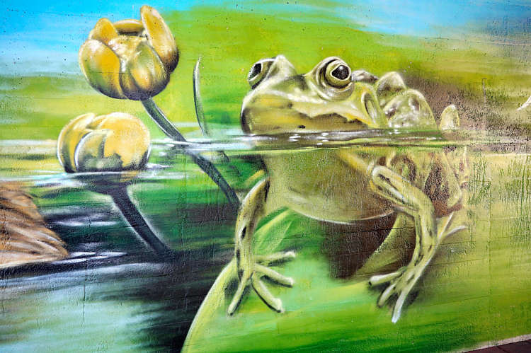 Graffiti-Art in viaduct/tunneltje onder de A12_18